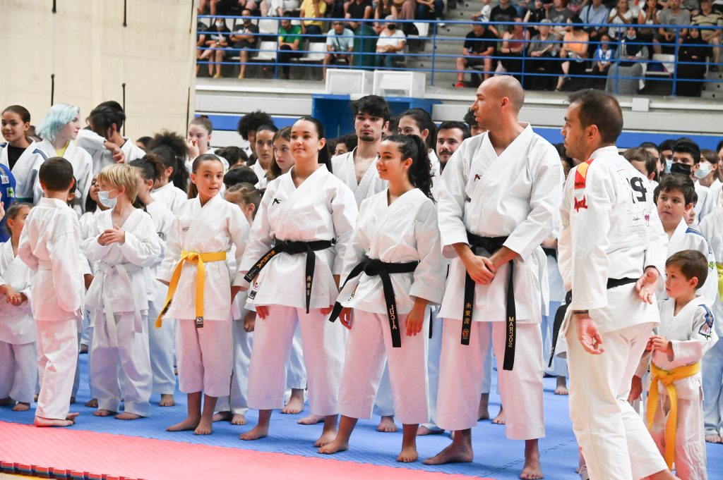 Artes marciales en leganes